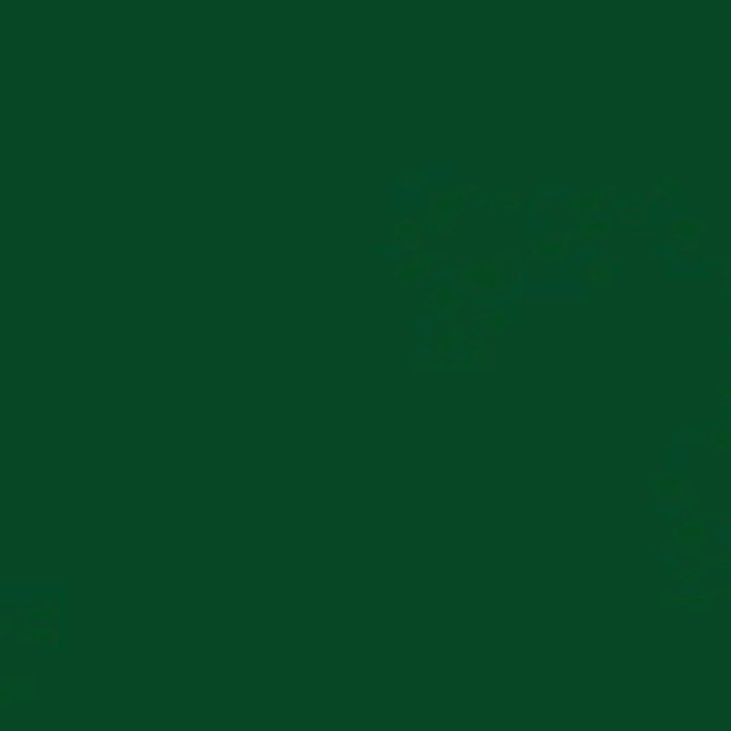 Rust-Oleum 7538838 Professional High Performance Enamel Spray Paint, 15 Oz, Gloss Hunter Green