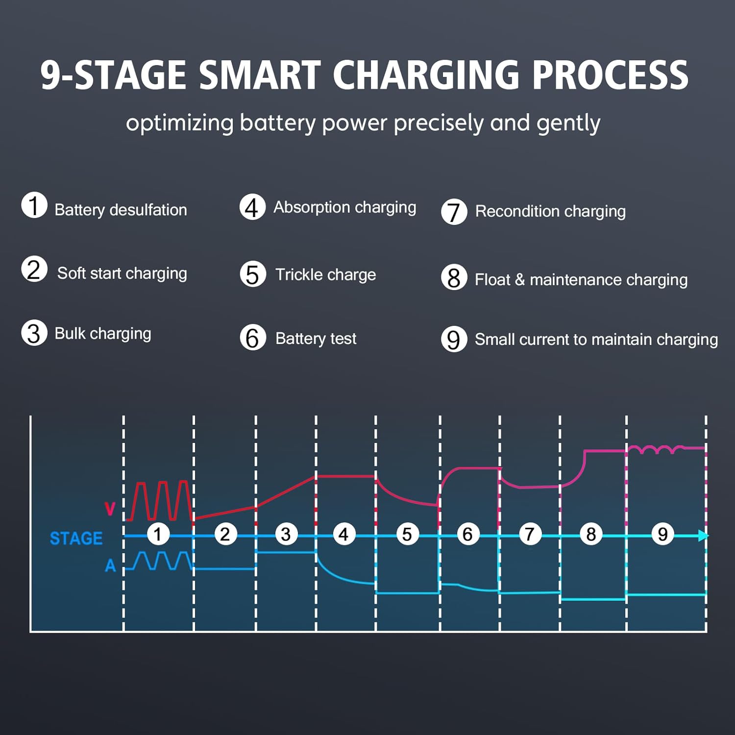 Lithium Lifepo4 Battery Charger,12V 24V AGM Deep Cycle Fully Automatic Car Battery Charger,12 Volt 24 Volt 20 amp Batetry Charger Automotive,Smart Trickle Charger