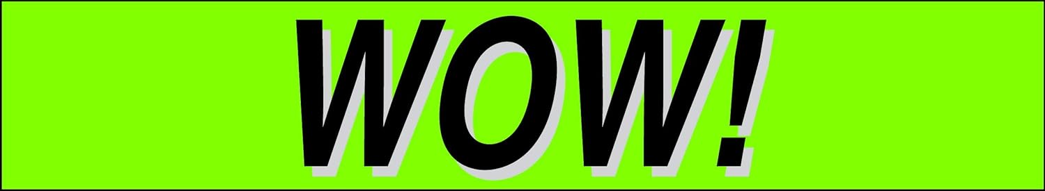 Ez-line Vinyl Windshield Stickers 3 Dozen 15 Inch Chartreuse Slogan Dealership Pro Pack for Car Lots (EZ115-Pack11)