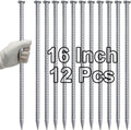 VVOKGO 16 Inch Rebar Stakes Metal Asphalt Anchoring Spikes Ground (12pcs), 1/2 Inch Diameter Galvanized Landscape Anchors Heavy Duty for Speed Bump, Handicap Threshold Ramps, Parking Limits Curb, Tarp