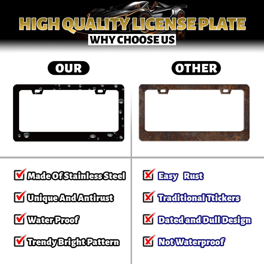 Boho Rainbow License Plate Frame Colorful License Plate Holder Stainless Steel Funny Colorful Car Accessories Decoration 6.3" X 12.3" with 2 Holes Screws