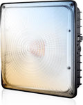 LED Canopy Light 100W, 40/60/80/100W Selectable, 5000K 15000Lumens Commercial Canopy LED Lights Outdoor, Gas Station Carport Light for Garage Shop Warehouse, IP65, DIM, 100-277VAC, ETL Listed