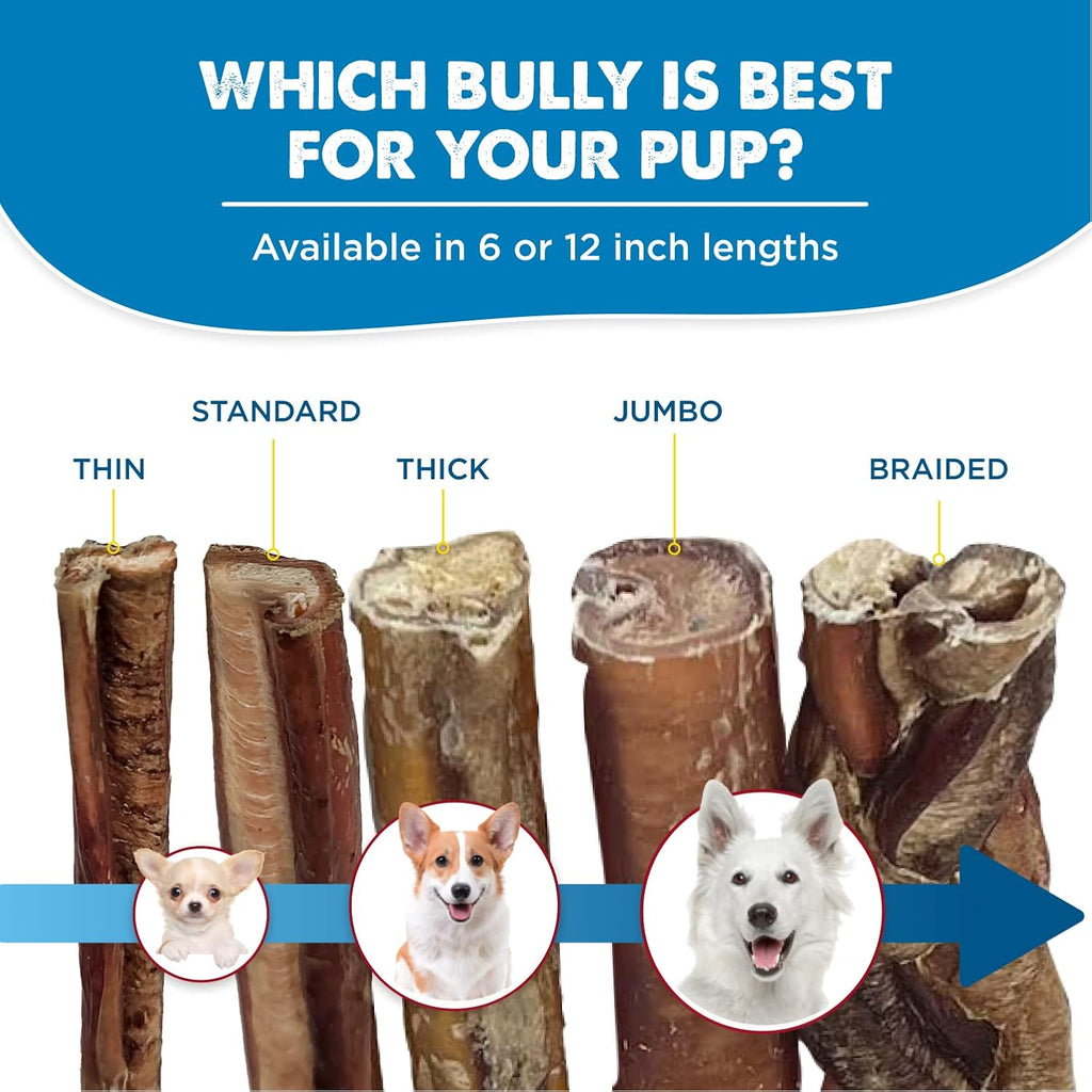 Best Bully Sticks 12 Inch Bully Sticks for Dogs - 10 Count (Pack of 1) - Natural, Easily Digestible, 100% Grass-Fed Beef, Grain and Rawhide Free