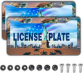 License Plate Frames Multicolor Fun License Plate Frame Protector Turtle Beach and Ocean Universal Aluminum Car Accessory 2 Pack with Screw Covers Set