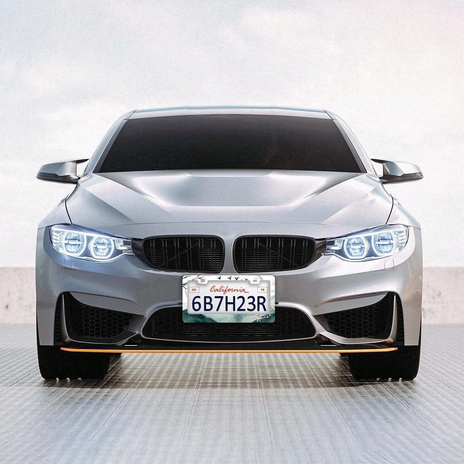 Mountains Cherry Blossom License Plate Frames - 2 Pcs Set 2 Holes Stainless Steel Metal Auto Car Accessories Decoration License Plate Frame Cover Size 6.3" x 12.2" Fit US Vehicles for Women Men Gift