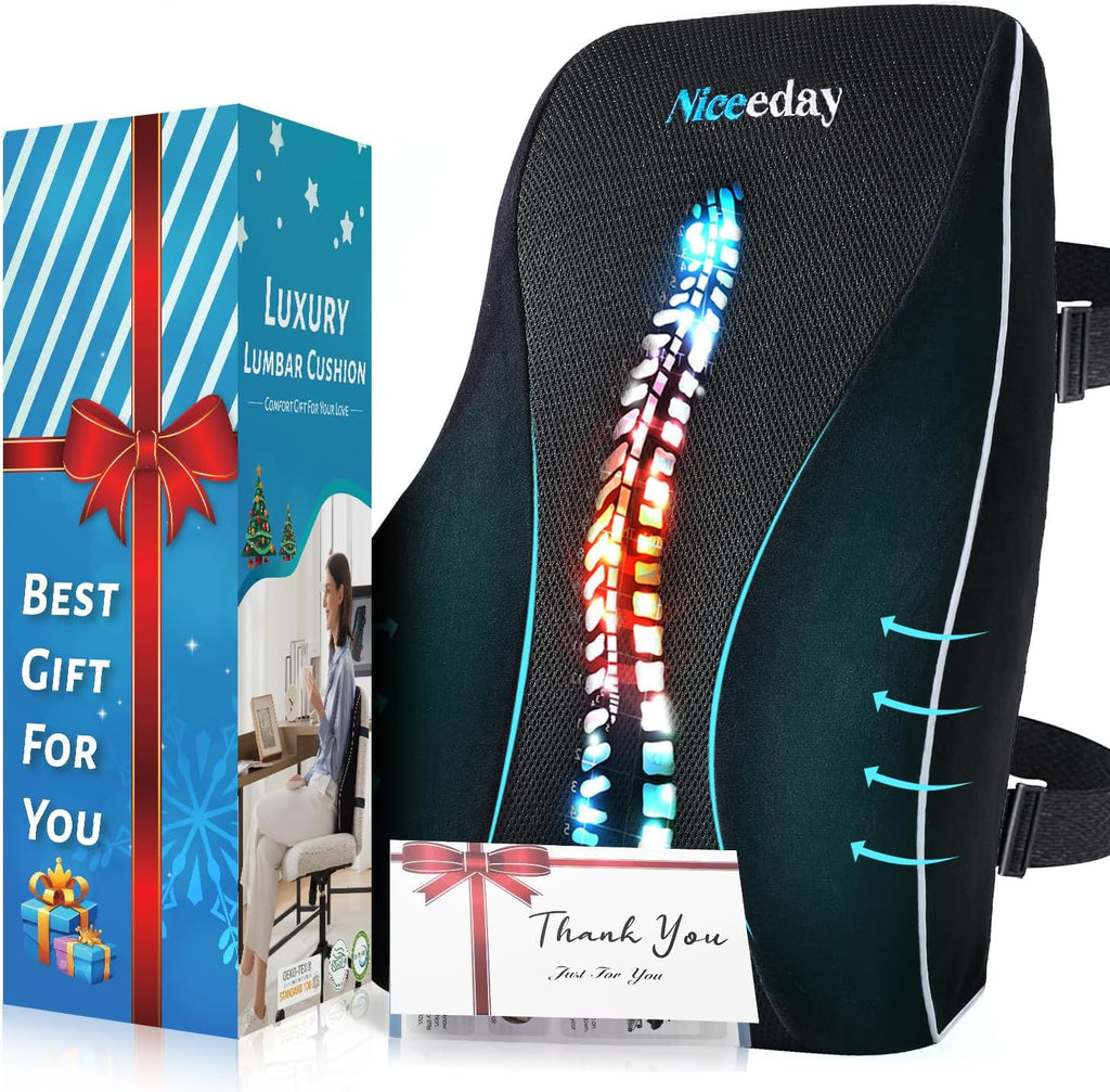 Lumbar Support Pillow for Office Chair Car, Gaming Chair Lower Back Pain Relief Memory Foam Cushion with Greeting Card,3D Mesh Cover Ergonomic Back Rest, Birthday Gift Father‘s Day Gifts for Dad