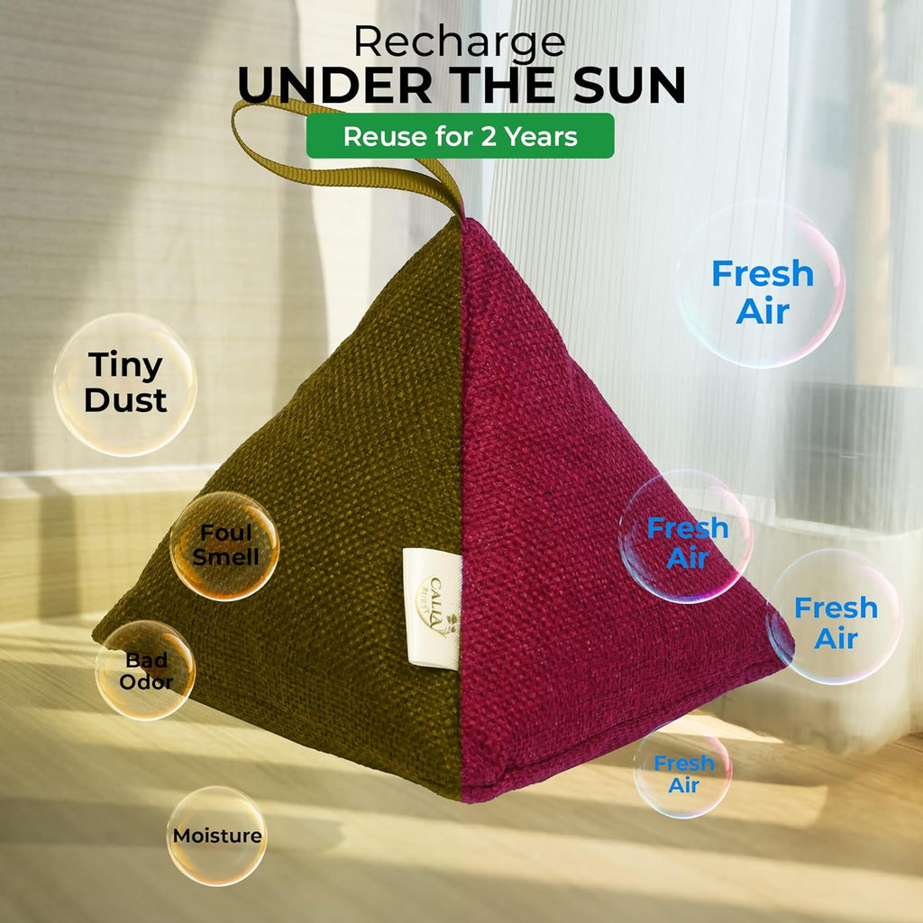 4 Pack Bamboo Charcoal Air Purifier Bags 200 Grams Each - Odor Absorber & Eliminator for Home, Car, Pets, Activated Charcoal Natural Freshener, Eco-Friendly & Reusable (Fall Colors)