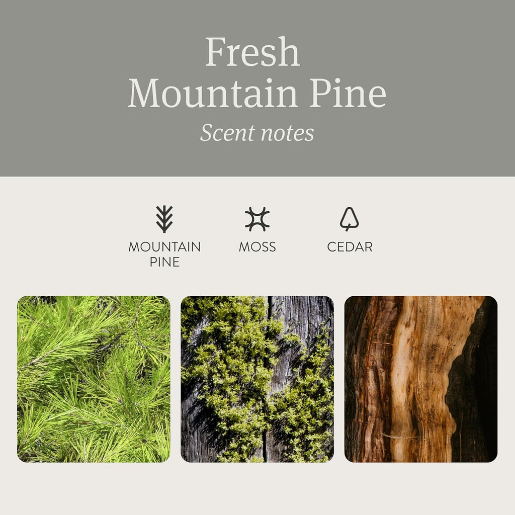 Drift Car Air Freshener - Stone Air Freshener - Car Odor Eliminator - Pine Scent Refill - NO CLIP INCLUDED