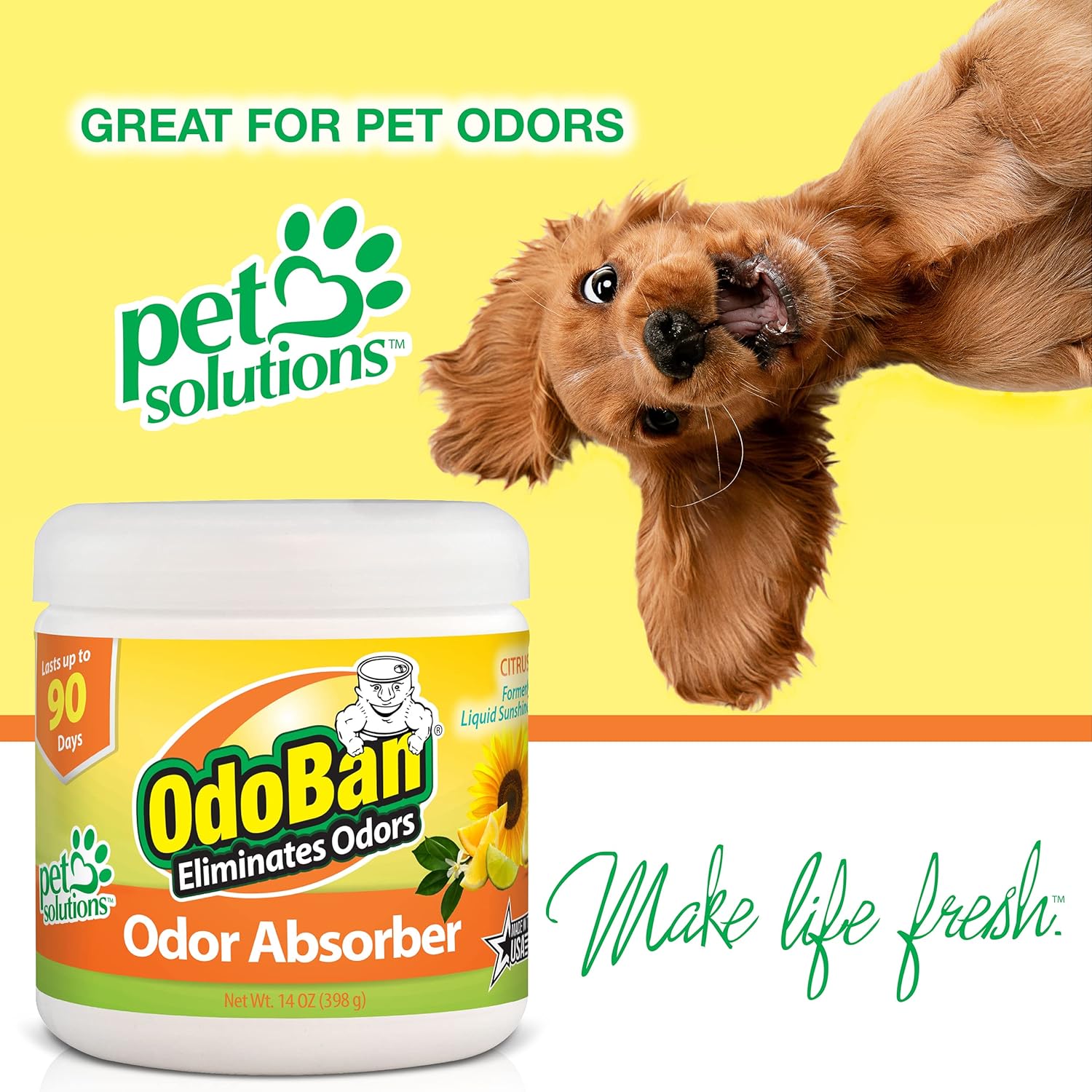 OdoBan Solid Odor Absorber Eliminator for Home and Small Spaces, Citrus Scent, 14 Ounces Each, 9-Pack